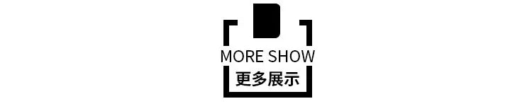 Custodia per passaporto